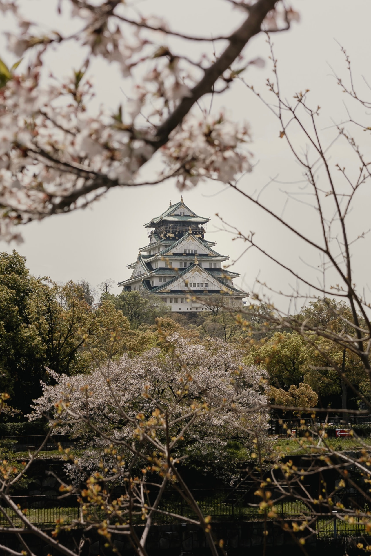 Château japonais entouré de cerisiers en fleurs